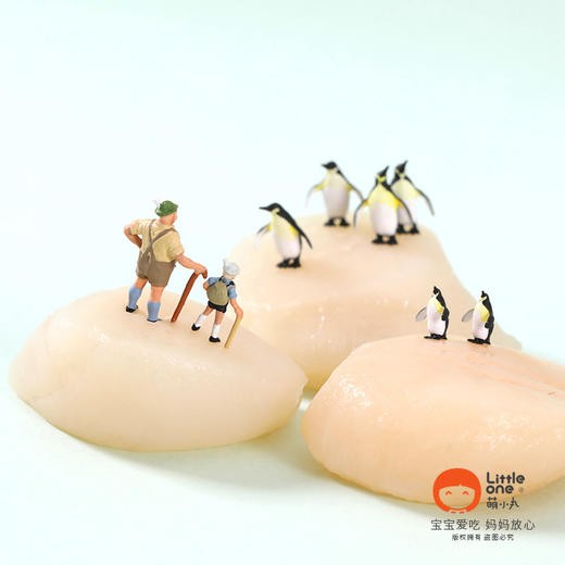 【独立小包装】加拿大进口野生贝柱，口感鲜美 商品图1