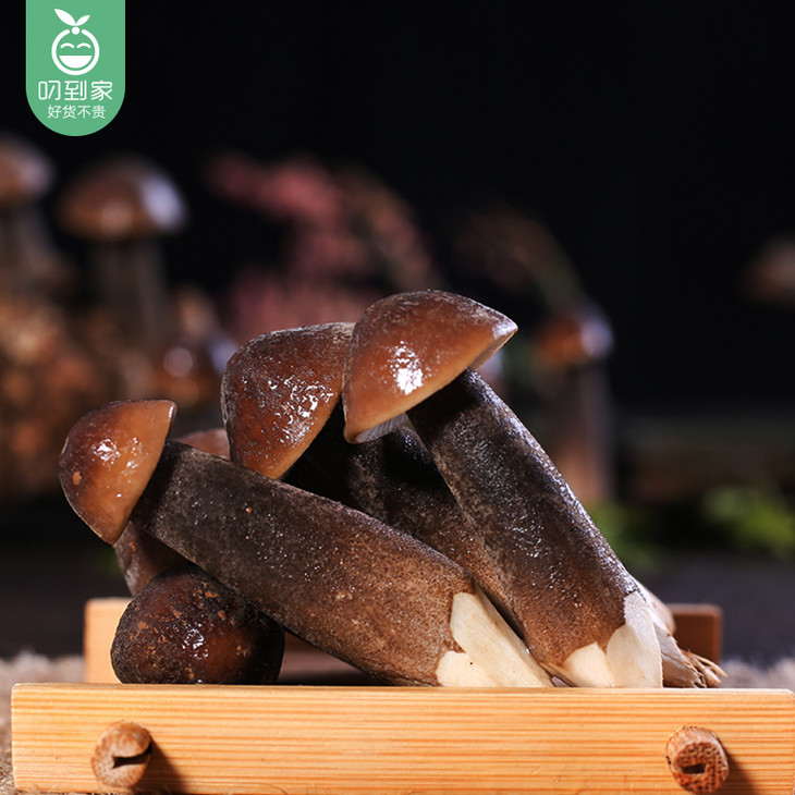 新鲜黑皮鸡枞菇/1包(约150g)