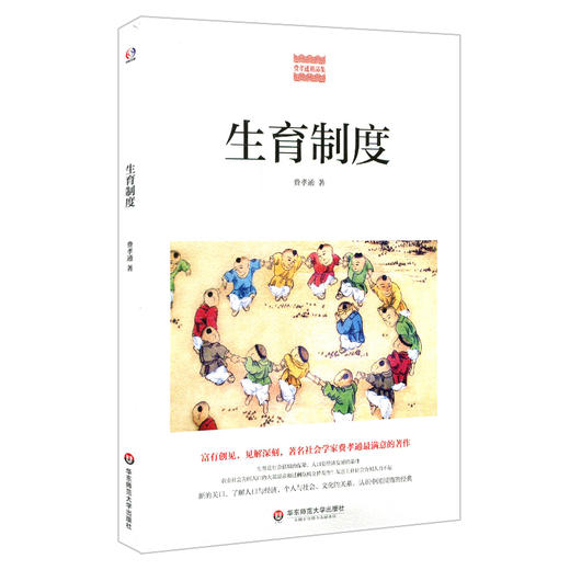 生育制度 费孝通精品集 中国农村社会学 认识中国国情 人口与经济社会文化 生育制度人口学研究 商品图0