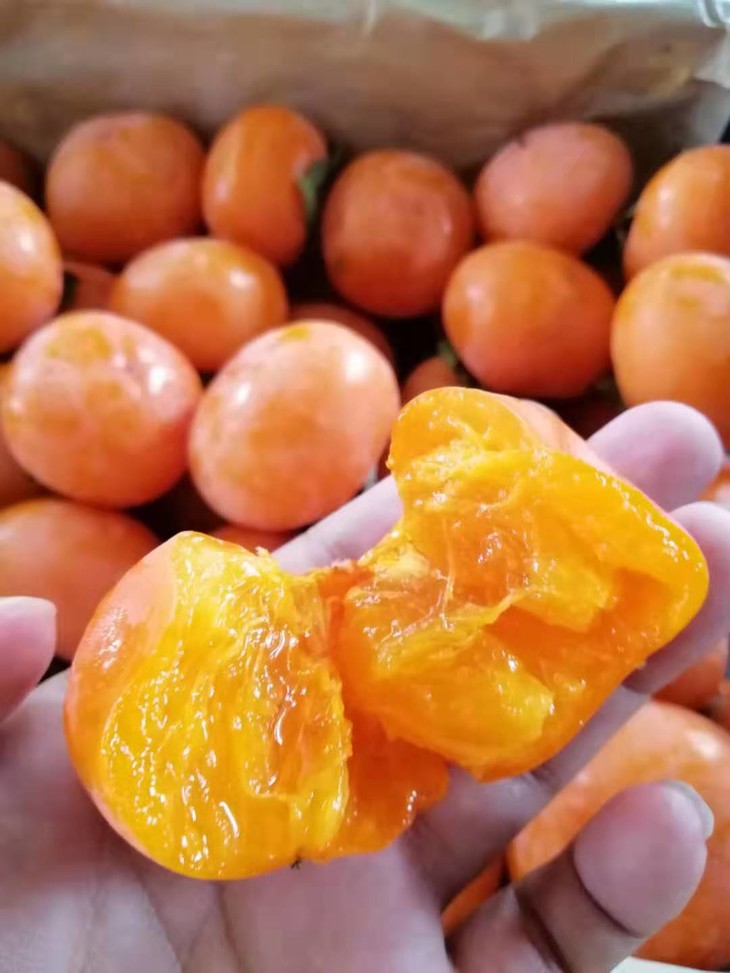 属柿科植物浆果类水果 形如球形,扁圆等, 品种不同颜色从浅桔,黄色到