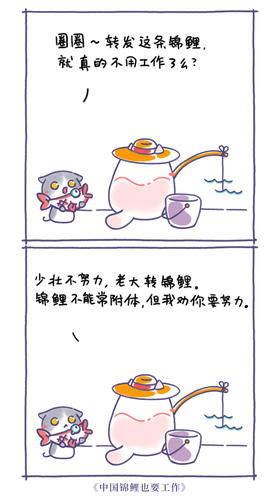 转发这条锦鲤