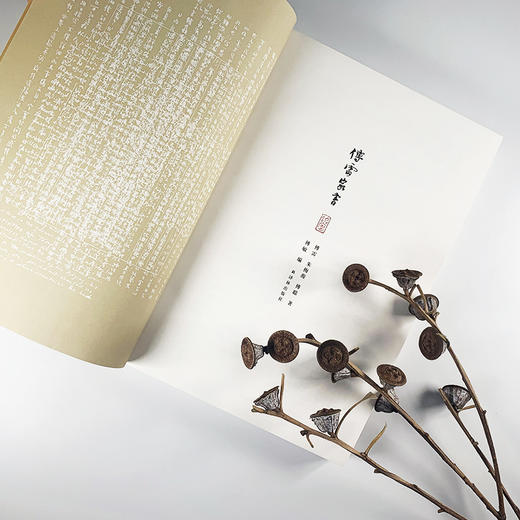 《傅雷家书》 商品图1