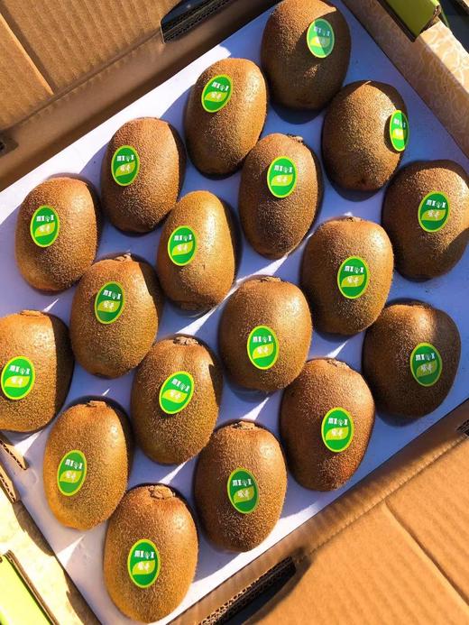 【四川翠香猕猴桃】18-20粒/箱，果肉更甜。 商品图2