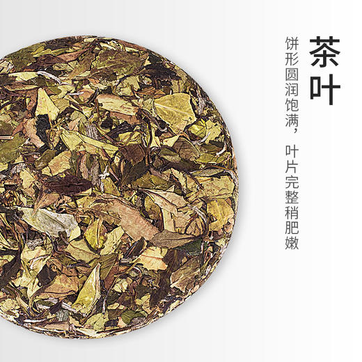 启山白茶 福鼎白茶 茶叶 西阳 贡眉 400g 商品图2