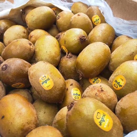 全国包邮来自智利的新鲜金果酸甜多汁肉厚皮薄果香怡