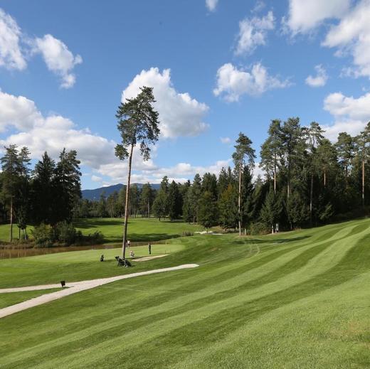 树园高尔夫 Arboretum Golf | 斯洛文尼亚高尔夫球场 俱乐部 | 欧洲高尔夫 | Slovenia Golf 商品图2