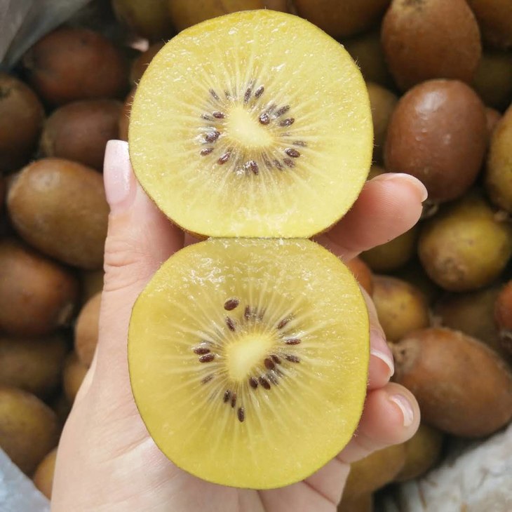 全国包邮来自智利的新鲜金果酸甜多汁肉厚皮薄果香怡