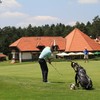 树园高尔夫 Arboretum Golf | 斯洛文尼亚高尔夫球场 俱乐部 | 欧洲高尔夫 | Slovenia Golf 商品缩略图3