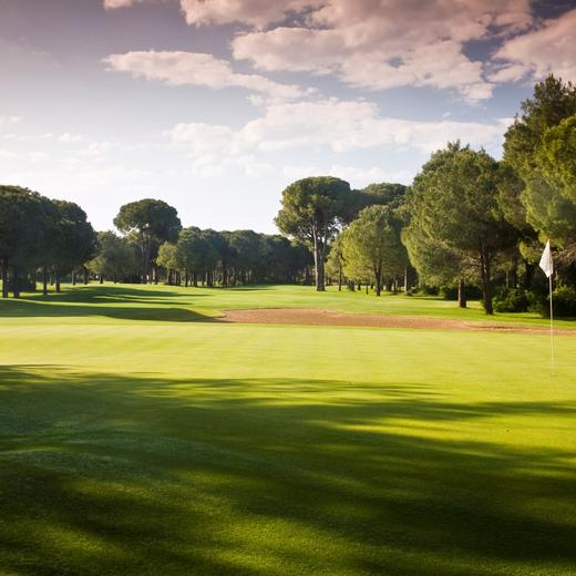 格洛里亚高尔夫俱乐部 Gloria Golf Club | 土耳其高尔夫球场 俱乐部 | Turkey Golf 商品图5
