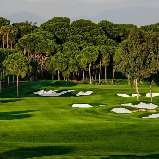卡里亚高尔夫俱乐部 Carya Golf Club | 土耳其高尔夫球场 俱乐部 | Turkey Golf 商品图5