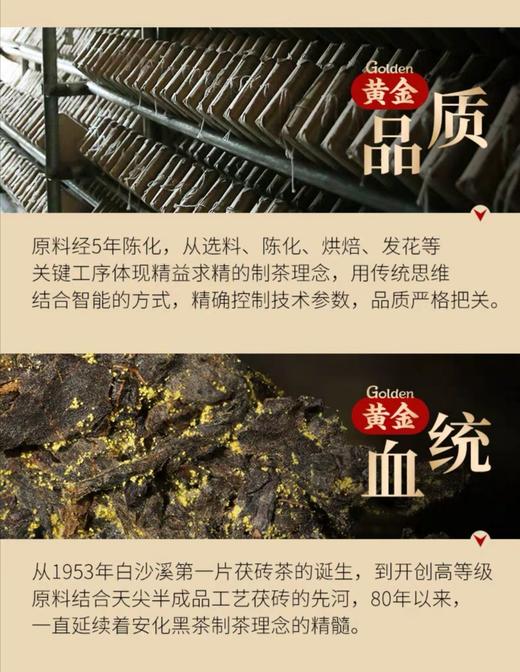 安化黑茶 白沙溪6G茯茶传统金花茯砖 嫩料五年陈料陈香显 商品图6