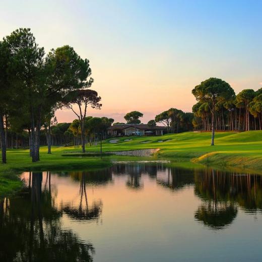 卡里亚高尔夫俱乐部 Carya Golf Club | 土耳其高尔夫球场 俱乐部 | Turkey Golf 商品图6