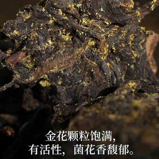 安化黑茶 白沙溪6G茯茶传统金花茯砖 嫩料五年陈料陈香显 商品图3