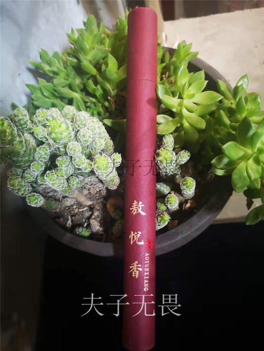 敖悦香(原蠲息香)线香 商品图1