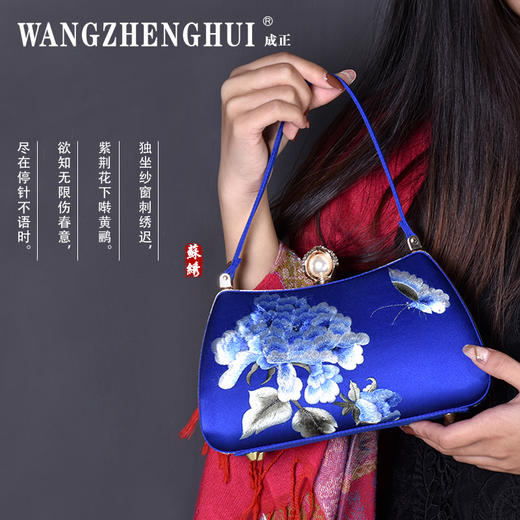 CZ-1853新款中国风刺绣手工古装搭配复古女士单肩包TZW 商品图1