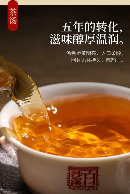 安化黑茶 白沙溪6G茯茶传统金花茯砖 嫩料五年陈料陈香显 商品图10