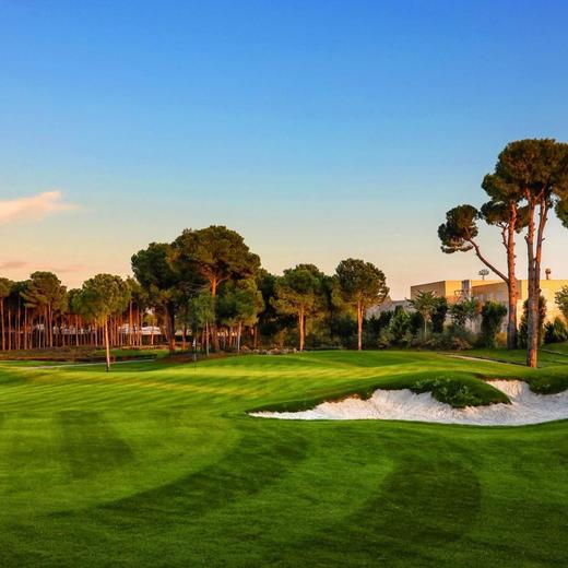 卡里亚高尔夫俱乐部 Carya Golf Club | 安塔利亚高尔夫 | 土耳其高尔夫球场俱乐部 | Turkey Golf 商品图7