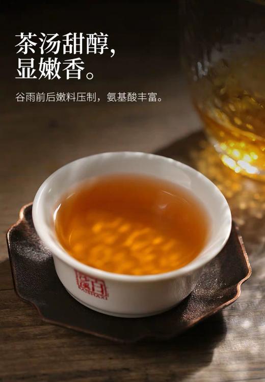 安化黑茶 白沙溪6G茯茶传统金花茯砖 嫩料五年陈料陈香显 商品图11