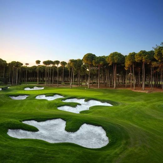 卡里亚高尔夫俱乐部 Carya Golf Club | 土耳其高尔夫球场 俱乐部 | Turkey Golf 商品图4