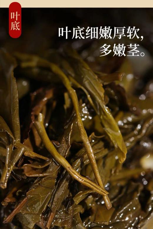 安化黑茶 白沙溪6G茯茶传统金花茯砖 嫩料五年陈料陈香显 商品图12