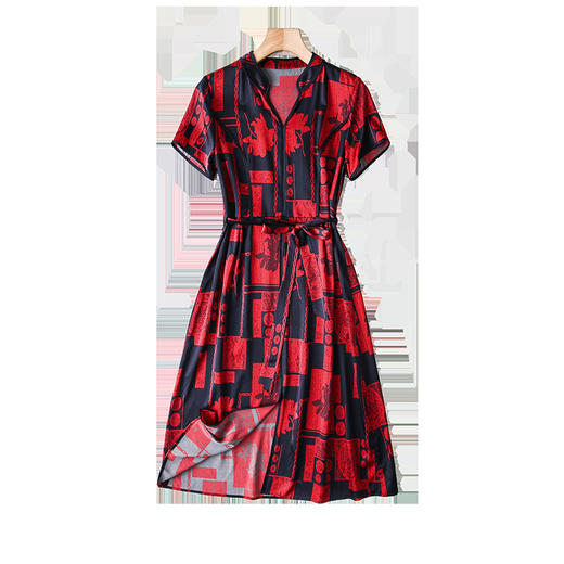 XY-C-112新款夏短袖修身高端真丝连衣裙 商品图4