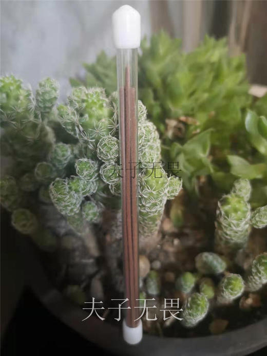 敖悦香(原蠲息香)线香 商品图2