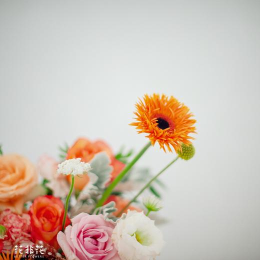 《晨熙》抱抱袋 商品图5