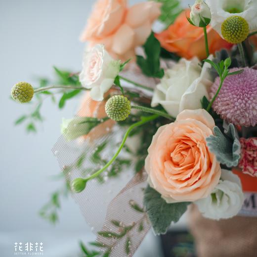 《晨熙》抱抱袋 商品图2