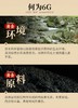 安化黑茶 白沙溪6G茯茶传统金花茯砖 嫩料五年陈料陈香显 商品缩略图4