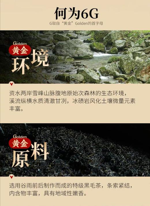 安化黑茶 白沙溪6G茯茶传统金花茯砖 嫩料五年陈料陈香显 商品图4