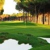 卡里亚高尔夫俱乐部 Carya Golf Club | 土耳其高尔夫球场 俱乐部 | Turkey Golf 商品缩略图1