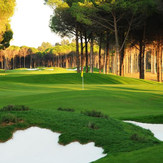 卡里亚高尔夫俱乐部 Carya Golf Club | 土耳其高尔夫球场 俱乐部 | Turkey Golf 商品图1