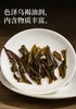 安化黑茶 白沙溪6G茯茶传统金花茯砖 嫩料五年陈料陈香显 商品缩略图13