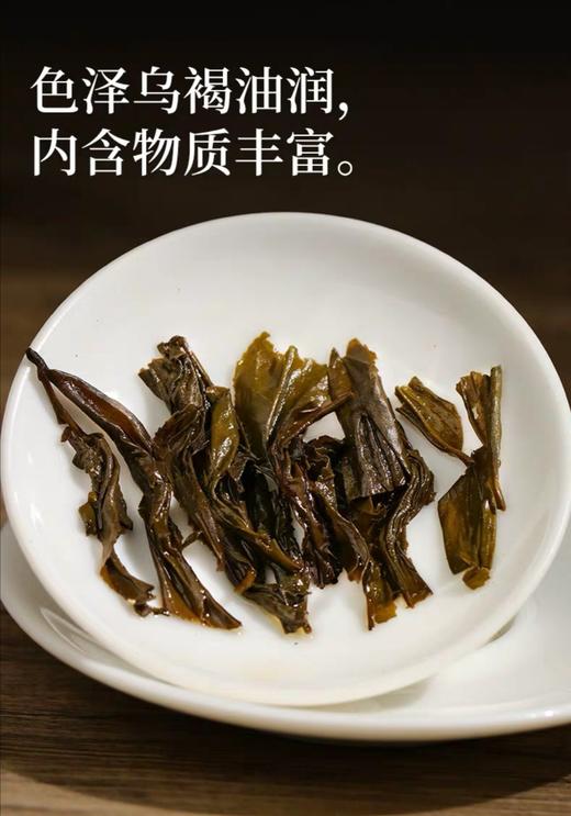 安化黑茶 白沙溪6G茯茶传统金花茯砖 嫩料五年陈料陈香显 商品图13