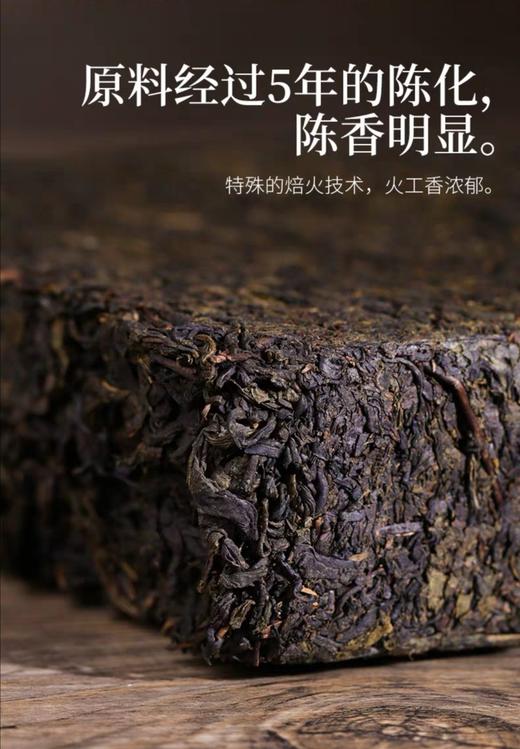 安化黑茶 白沙溪6G茯茶传统金花茯砖 嫩料五年陈料陈香显 商品图7