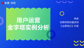 用户运营金字塔实例分析