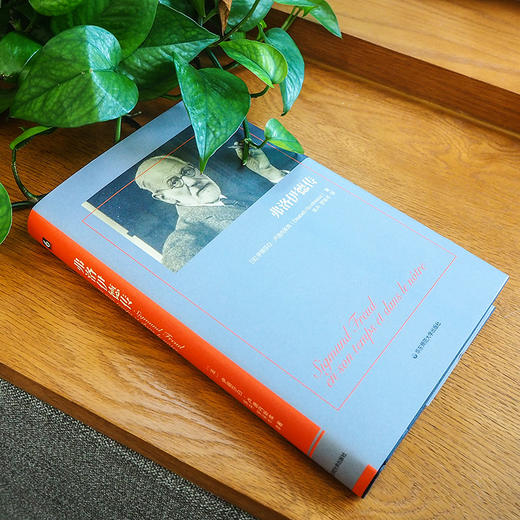 弗洛伊德传 哲学家传记 伊丽莎白·卢迪内斯库著 获法国“十二月奖”和“文学奖中奖” 正版 华东师范大学出版社 商品图0