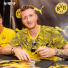 PUMA彪马BVB19-20赛季多特蒙德短袖T恤男755768-01 商品缩略图0