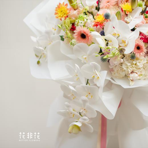 致爱高端限量蝴蝶兰花束 商品图2