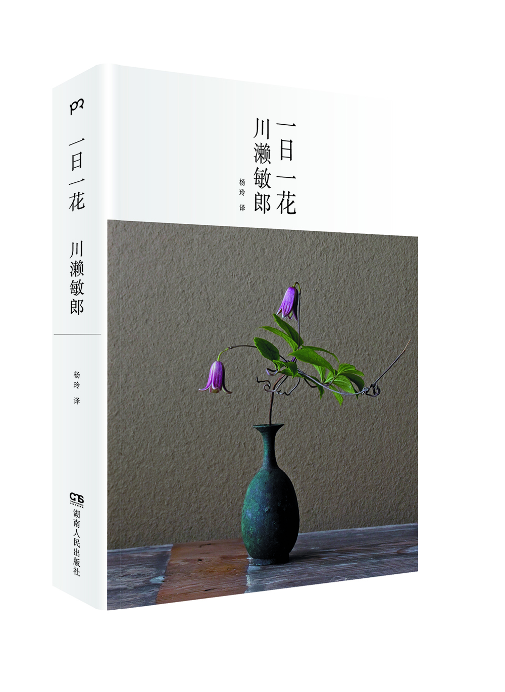 《一日一花》日本花道禅宗美学的精粹 精美印刷的花道图鉴