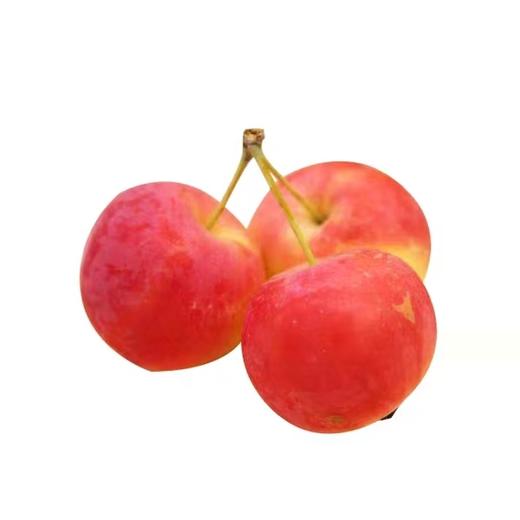 东北海棠果沙果5斤 新鲜当季小苹果水果孕妇红果现摘现发特产包邮