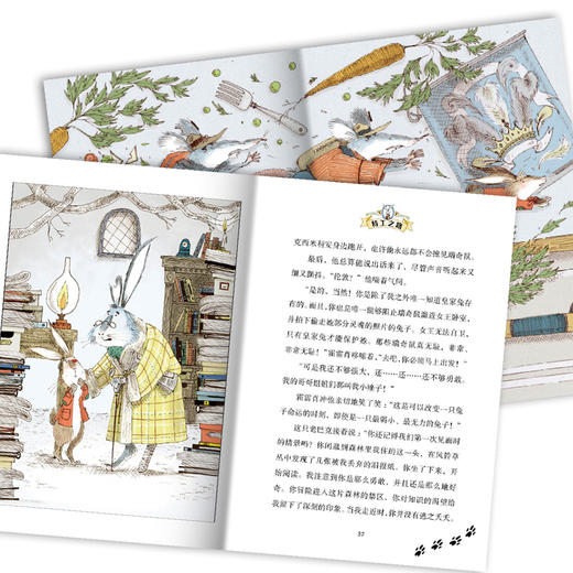 全2册皇家兔 特工之路+逃离高塔 商品图2