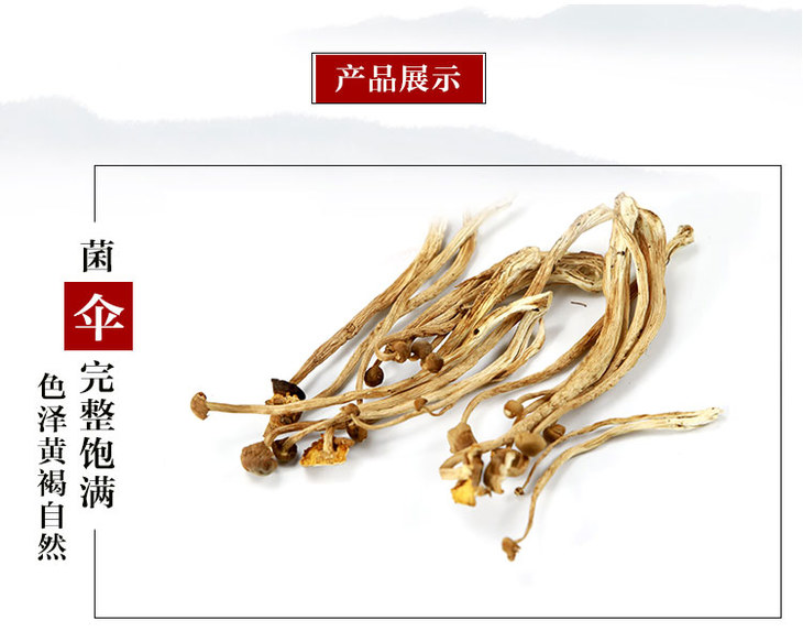养殖菌菇的简便方法有哪些(养殖菌菇的简便方法有哪些图片)
