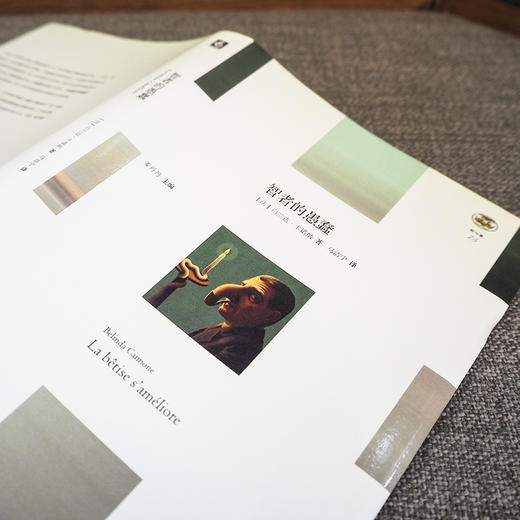 智者的愚蠢 轻与重系列 法国当代思想家白兰达·卡诺纳作品集 商品图2