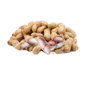 新鲜花生 400克 传统露天种植蔬菜  小菜园