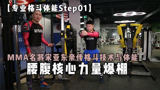 1.体能训练-腰腹 商品图0