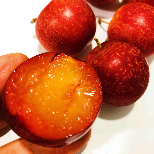 🍒樱桃李🎉5JJJJJ 稀有品种闪亮登场🤔 琥珀色的果肉，极小的核，口感很甜，丰润多汁，入口难忘[强]看起来像李子，吃起来像樱桃一样甜美[色][色] 商品图10