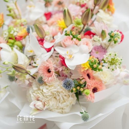 致爱高端限量蝴蝶兰花束 商品图1