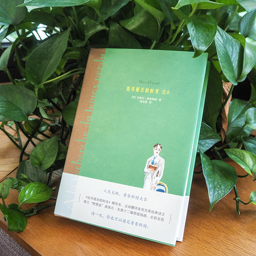 追寻逝去的时光 选本 普鲁斯特 翻译家周克希译文 荷兰画家凡 东恩十二幅原版彩色插画 精选经典篇章 商品图1