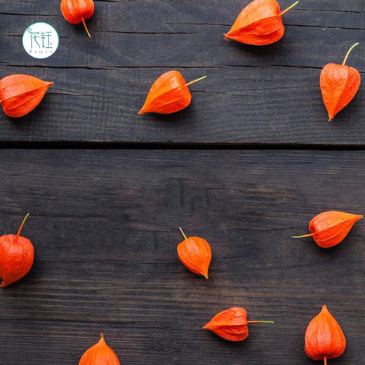 当季2人团荷兰进口优质酸浆果橙色5枝下单前请阅读商品详情全国京东